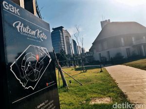 Menikmati Akhir Pekan di Hutan Kota Gelora Bung Karno Menikmati Akhir Pekan di Hutan Kota Gelora Bung Karno