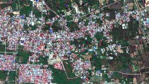 Gempa Palu Jadi Salah Satu Foto dari Luar Angkasa Terbaik 2018