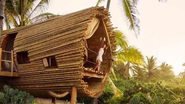 Foto: 5 Hotel Rumah Pohon Bergaya Mewah