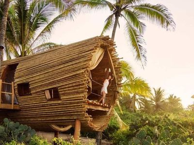 Foto: 5 Hotel Rumah Pohon Bergaya Mewah