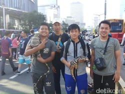 Ketika Kadal Jutaan Rupiah Dipamerkan di CFD