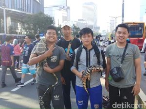 Ketika Kadal Jutaan Rupiah Dipamerkan di CFD Ketika Kadal Jutaan Rupiah Dipamerkan di CFD