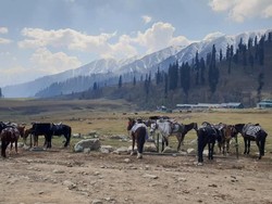 Foto-foto Kashmir yang Menakjubkan