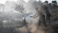 5 Hektar Lahan Gambut di Aceh Terbakar