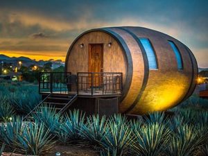 Seru! Di Sini Bisa Tidur di Dalam Barel Tequila Raksasa