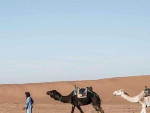 Kisah Abdurrahman bin Auf, Sahabat Nabi yang Selalu Gagal Jadi Orang Miskin Kisah Abdurrahman bin Auf, Sahabat Nabi yang Selalu Gagal Jadi Orang Miskin