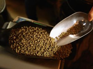 Mokha di Yaman, Cap Kupu-kupu di Banten