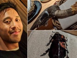 Pria Ini Rogoh Kocek Rp 4,9 Juta untuk Makan Semut dan Otak Rusa