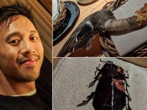 Pria Ini Rogoh Kocek Rp 4,9 Juta untuk Makan Semut dan Otak Rusa Pria Ini Rogoh Kocek Rp 4,9 Juta untuk Makan Semut dan Otak Rusa