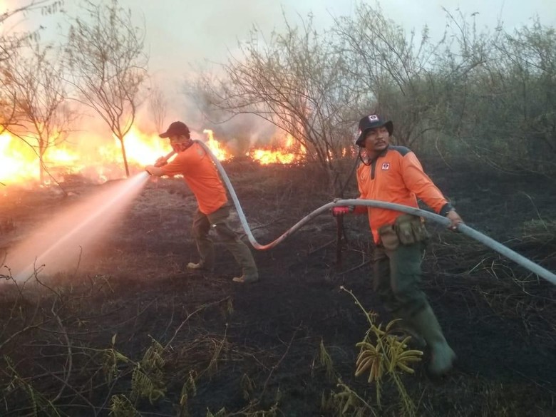 Manggala Agni KLHK Terus Siaga Cegah Karhutla di 2019 Manggala Agni KLHK Terus Siaga Cegah Karhutla di 2019