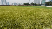 Di atas tanah seluas 5.000 meter persegi, sudah dibangun dua lapangan dengan material rumput sintetis.  