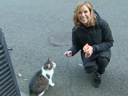 Larry, Si Kucing Pengguncang Kantor PM Inggris