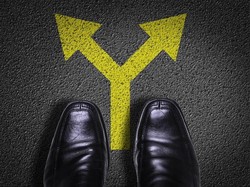 Fakta Unik Seputar Diphallia, Penyebab Pria Punya Penis Dua