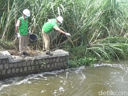 Badan Lingkungan Hidup Cek Kandungan Gunungan Busa di Jombang