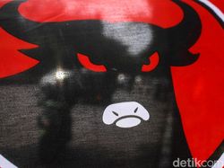 Ada Bebek Hingga Celeng di Pusaran Konflik Internal Partai Banteng