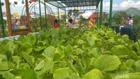 Foto: Agrowisata Kekinian dari Trenggalek