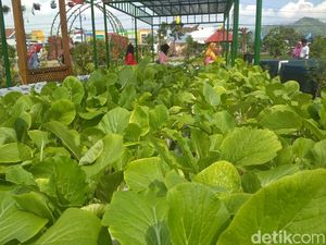 Foto: Agrowisata Kekinian dari Trenggalek