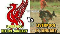 Kalau diibaratkan ayam jago, begini rupa Liverpool usai dua laga di bulan Januari. (Foto: dok.Ist)