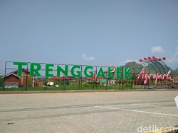 Demam Agrowisata Kekinian dari Trenggalek