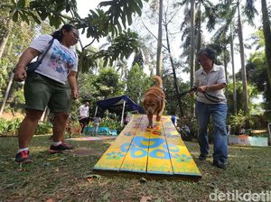 5 Taman akan Dipermak Pemprov DKI dengan Budget Rp 140 M