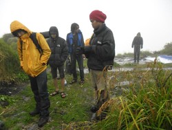 Cerita Pendaki Gunung yang Kena Hipotermia