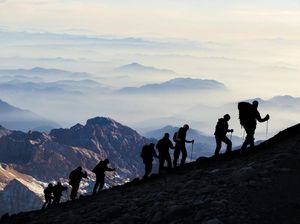 Mahasiswi Sempat Hilang, UIN STS Jambi: Mapala Tak Miliki Izin Mendaki Gunung Mahasiswi Sempat Hilang, UIN STS Jambi: Mapala Tak Miliki Izin Mendaki Gunung