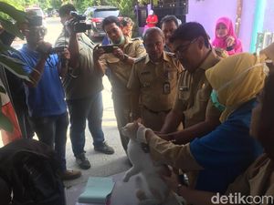 Tak Jadi Dirazia, Anjing-Kucing di Ciracas Divaksin Rabies