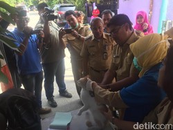 Tak Jadi Dirazia, Anjing-Kucing di Ciracas Divaksin Rabies