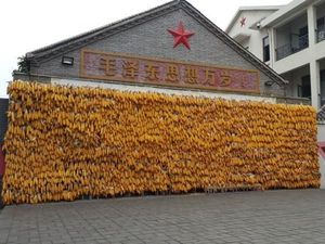 Desa Miskin yang Jadi Kaya di China