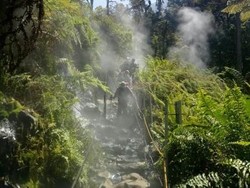 Jalur Pendakian Gunung Gede Pangrango Ditutup 5 Bulan