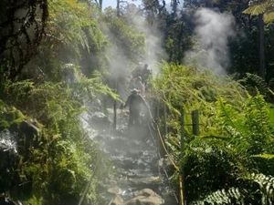 Gunung Gede Pangrango Tutup Pendakian Jelang Tahun Baru dan Prau Menyusul Gunung Gede Pangrango Tutup Pendakian Jelang Tahun Baru dan Prau Menyusul