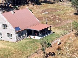 Menginap di Hotel yang Dikelilingi 77 Ekor Singa, Berani?