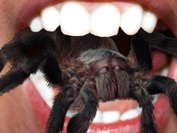 7 Hewan Teraneh yang Jadi Makanan Manusia di Berbagai Negara