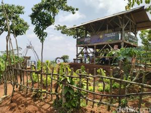 Menikmati Keindahan Agrowisata Alam Murbey di Kaki Gunung Sawal