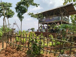 Menikmati Keindahan Agrowisata Alam Murbey di Kaki Gunung Sawal