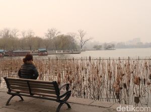 Cerita Taman Lotus dan Kodok yang Tak Bersuara di China Cerita Taman Lotus dan Kodok yang Tak Bersuara di China