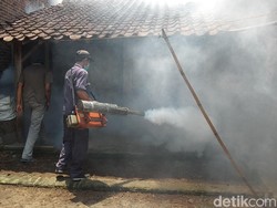 Sepanjang 2018, Ada 175 Kasus DBD di Kabupaten Semarang, 2 Meninggal Dunia