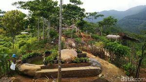 Foto: Pesona Keindahan Agrowisata Alam Murbey di Ciamis
