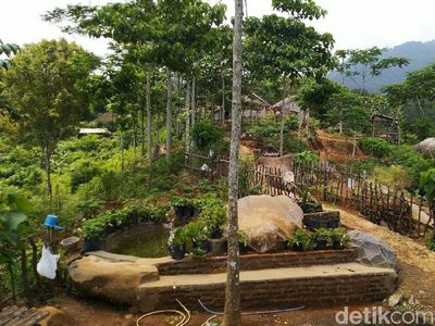 Foto: Pesona Keindahan Agrowisata Alam Murbey di Ciamis