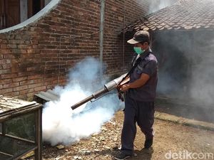 Ada 613 Kasus DBD di DKI Jakarta, Meningkat Dibanding Tahun Lalu