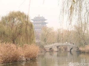 Foto: Daming Lake yang Cantiknya Bikin Baper