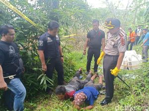 Tangkap 2 Pemburu Hewan Langka, Polisi Selamatkan 79 Kukang Jawa Tangkap 2 Pemburu Hewan Langka, Polisi Selamatkan 79 Kukang Jawa