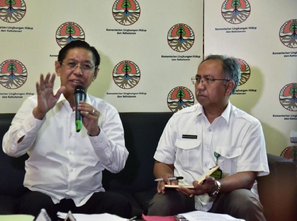 KLHK Pastikan Masalah Lingkungan PT Freeport Sudah Ada Penyelesaian KLHK Pastikan Masalah Lingkungan PT Freeport Sudah Ada Penyelesaian