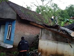 11 Rumah Tertimpa Pohon Tumbang di Banjar 11 Rumah Tertimpa Pohon Tumbang di Banjar