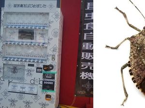 Wouw! Vending Machine Ini Jual Aneka Serangga Kering Wouw! Vending Machine Ini Jual Aneka Serangga Kering