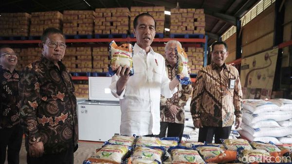 Potret Jokowi Cek Stok Beras di Gudang Bulog