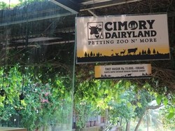 Cari Dana Segar Rp 4 Triliun, Cimory Bakal IPO Tahun Ini