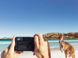 Jumlah Wisatawan ke Australia Barat Naik Tapi Tingkat Belanja Turun