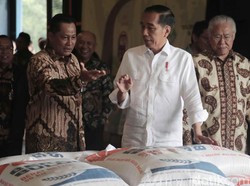 Cek Gudang Bulog, Jokowi: Harga Beras Mulai Turun