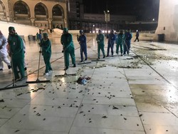 KJRI Jeddah: Jangkrik di Masjidil Haram Tak Berbahaya